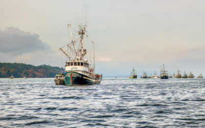 commercial herring boat during the strait of georgia roe herring fishery 2024