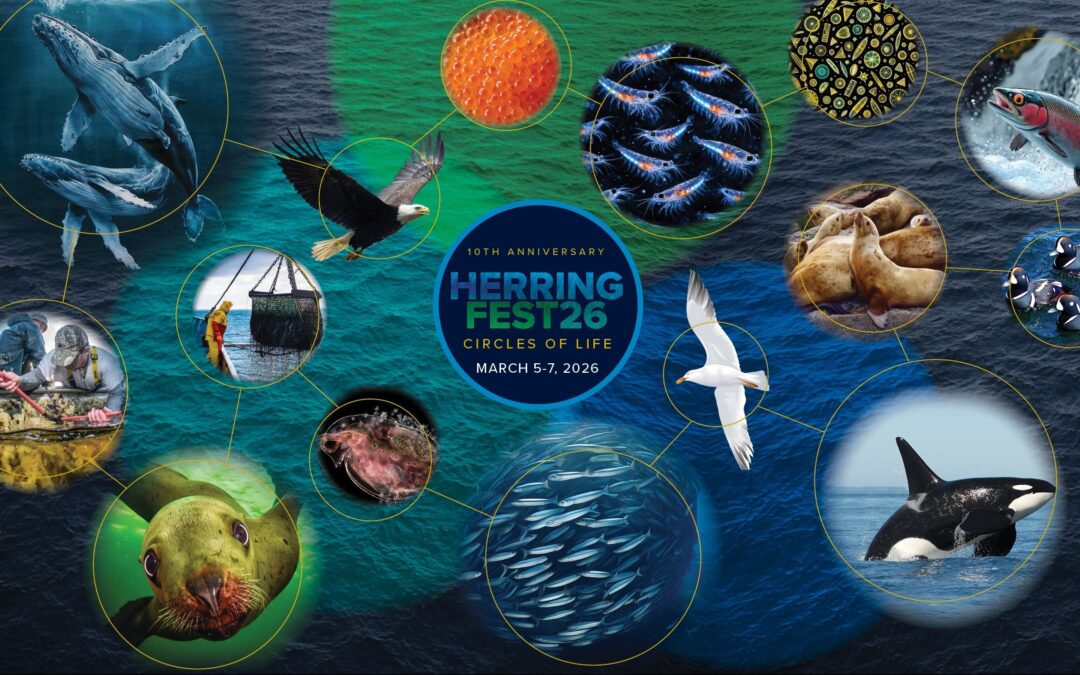 10th Anniversary of Hornby HerringFest