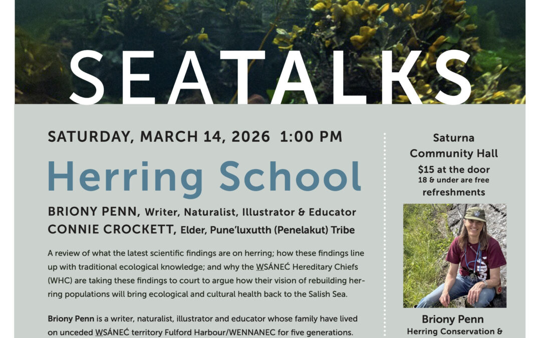 Saturna SeaTalk on Herring